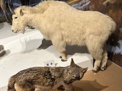 -陕西自然博物馆