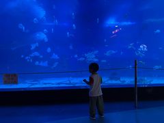 -烟台海昌鲸鲨海洋公园