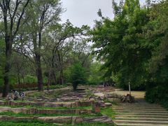 -黑龙江省森林植物园