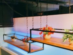 -鲜椒鱼·雅安地标性美食
