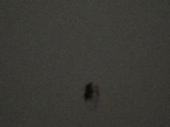 -怡莱精品酒店(苏州新区何山地铁站店)