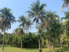 -中国科学院西双版纳热带植物园