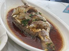 -魚當家