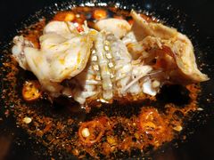 -销魂美蛙鱼头火锅(上海首店)