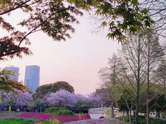 -尚贤河湿地