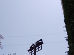 -《驼铃传奇》秀