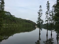 -三水森林公园