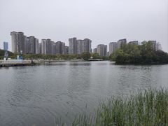 -新江湾城公园