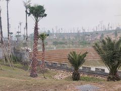 -枫香湖儿童公园