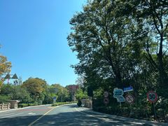 -平湖九龙山旅游度假区