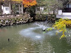 -复旦大学附属华山医院(总院)