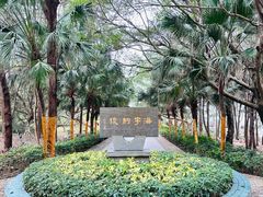 -宋井风景区