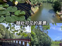 -洛阳白云山景区
