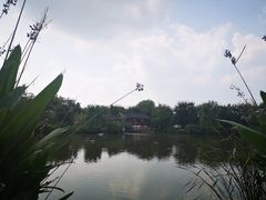 -鹅湖玫瑰文化园