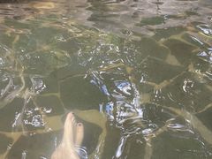-龙达温泉生态城