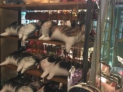 -猫咪博物馆(顶澳仔猫街店)