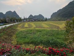 -靖西鹅泉风景区