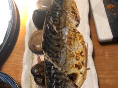盐烤青花鱼-鳗鱼家·深夜食堂(军博店)
