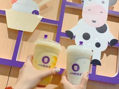 -一只酸奶牛(八一路店)