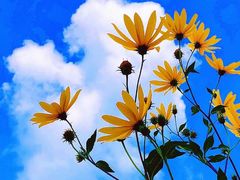 -万达广场(赣州于都店)