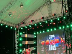 -巨鹏飞梦幻海岸