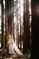 点击看大图 -Chic Bridal 熙可婚纱