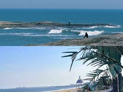 -巧克力渔家.小船海鲜胶东菜(万平口店)