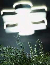 -北京东方茂酒店-宴会厅