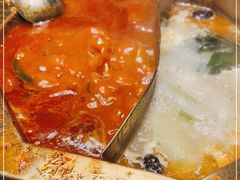 -蜀九香火锅(彩虹店)