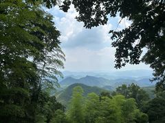 -莫干山风景区