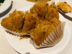 -食为先(Shark Fin)