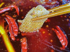 -六公里老火锅(总店)