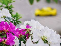 -龙湖重庆时代天街