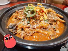 -火焰金龟甲(汉阳江滩旗舰店)