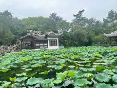 -无锡蠡湖国家湿地公园-蠡园