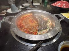 -井格重庆火锅(西直门凯德Mall店)