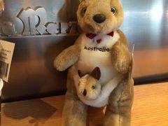 iphone_upload_pic-Gloria Jean's Coffees