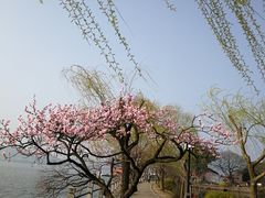 -无锡蠡湖国家湿地公园-蠡园