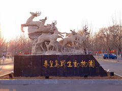 -秦皇岛野生动物园