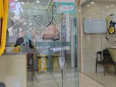 -瑞派天使宠物医院·神经外科·骨科·核磁(洛川中路店)