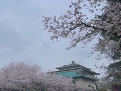 -武汉大学-樱园