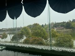 -仙林宾馆-餐厅