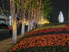 -南京眼步行桥