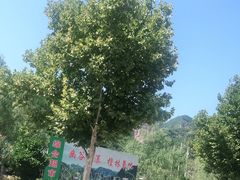 -十渡东湖港风景区