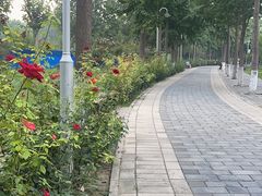 -东升八家郊野公园