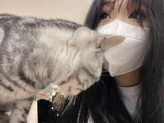-有喵·猫咖·狗咖·30几只猫10只小狗(岗厦店)