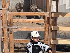 -水上乐园·欢乐世界