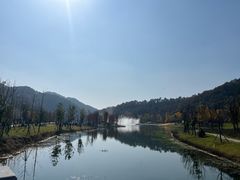 -千年银杏谷文化旅游区