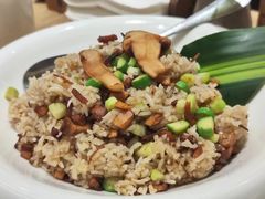-枣子树·素食餐厅(普陀山店)