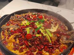 -老板恋上鱼(高新万达店)